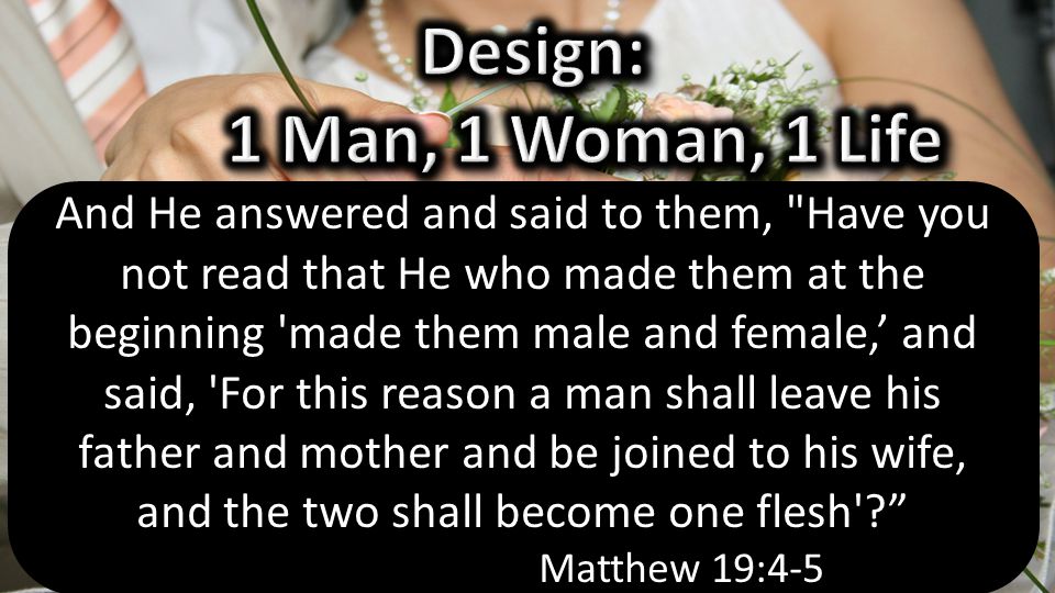 And He answered and said to them, Have you not read that He who made them at the beginning made them male and female,’ and said, For this reason a man shall leave his father and mother and be joined to his wife, and the two shall become one flesh Matthew 19:4-5