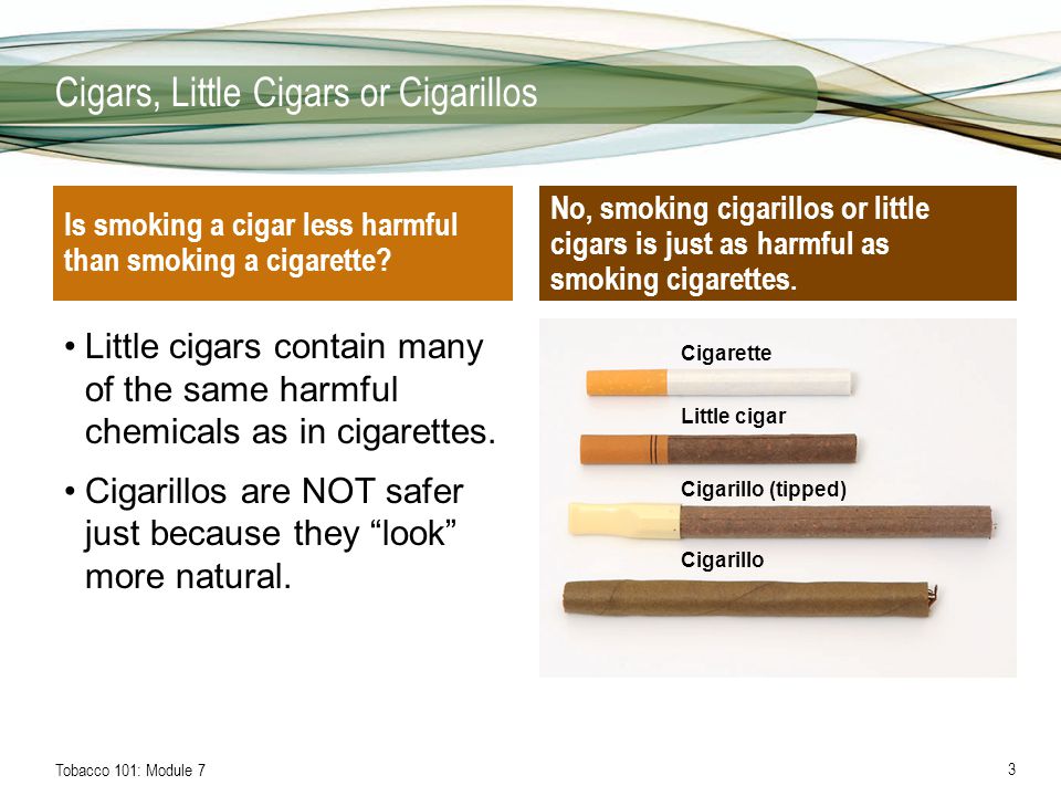 Cigars, Little Cigars or Cigarillos Module 7 Tobacco 101: Module 7 3 Cigars,  Little Cigars or Cigarillos Little cigars contain many of the same harmful.  - ppt download