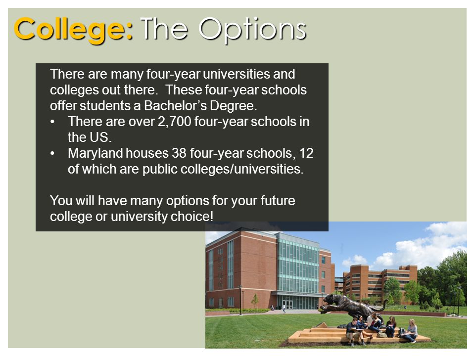 College: The Options There are many four-year universities and colleges out there.