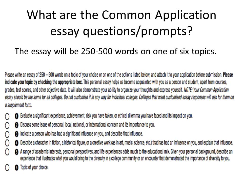 What are the Common Application essay questions/prompts.