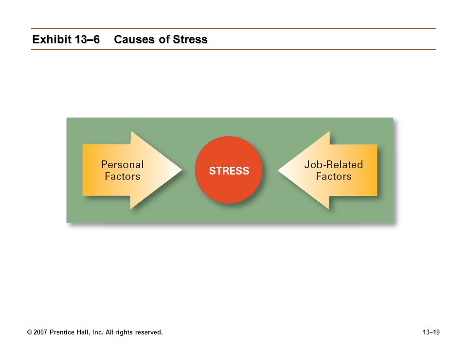 © 2007 Prentice Hall, Inc. All rights reserved.13–19 Exhibit 13–6Causes of Stress