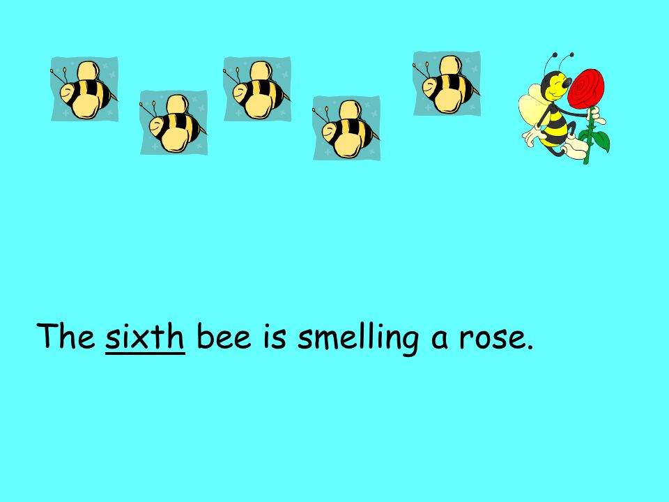 The sixth bee is smelling a rose.