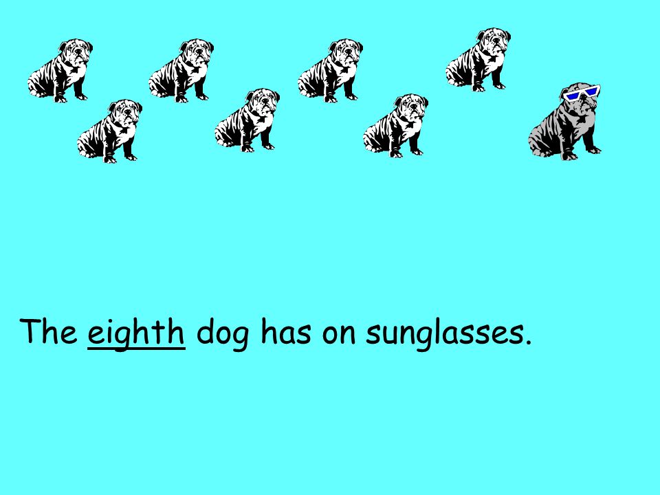 The eighth dog has on sunglasses.