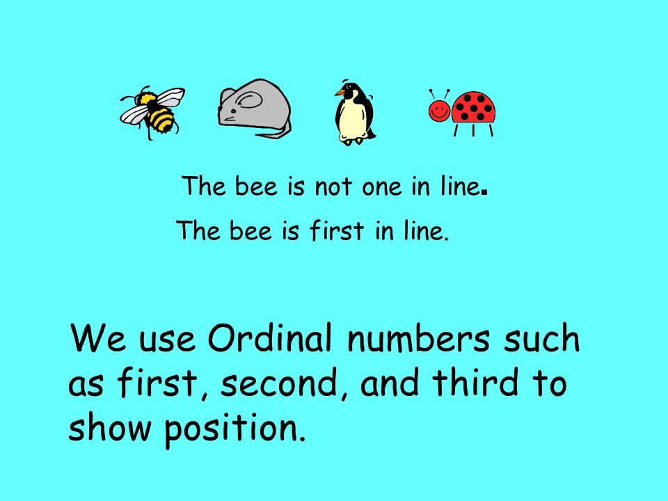 The bee is not one in line. The bee is first in line.