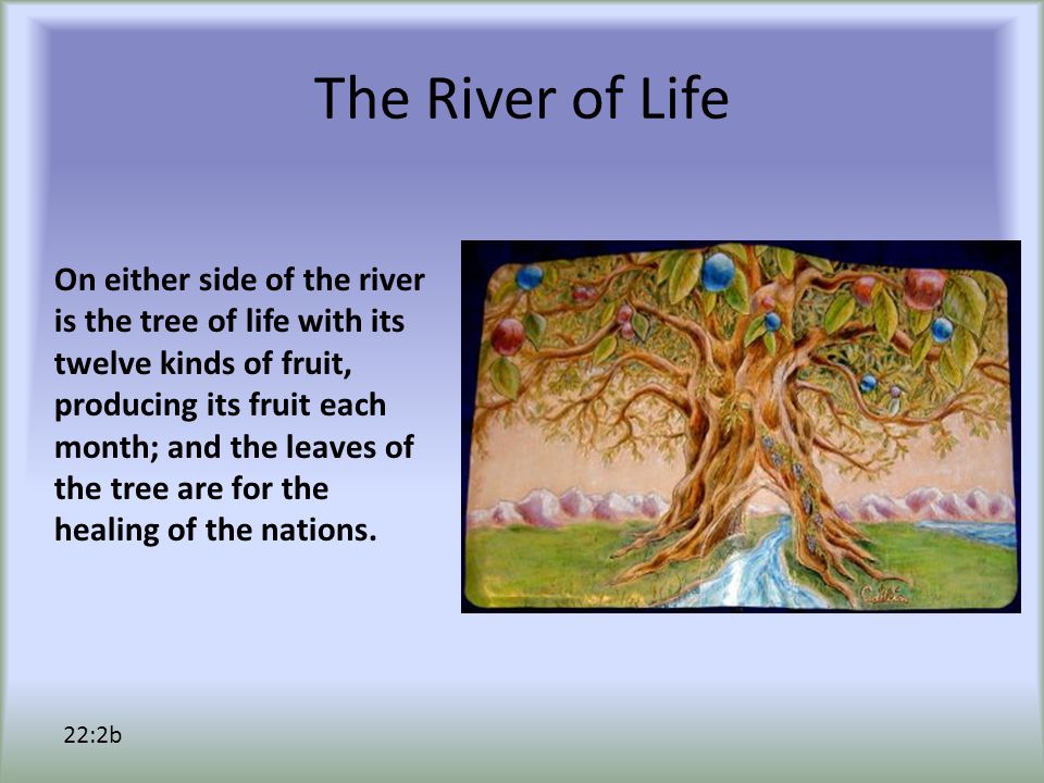 The River of Life On either side of the river is the tree of life with its twelve kinds of fruit, producing its fruit each month; and the leaves of the tree are for the healing of the nations.