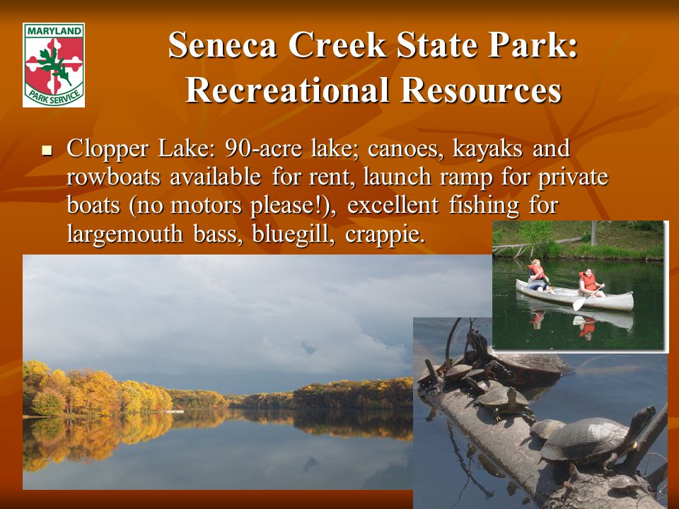 Seneca Creek State Park: Recreational Resources Clopper Lake: 90-acre lake; canoes, kayaks and rowboats available for rent, launch ramp for private boats (no motors please!), excellent fishing for largemouth bass, bluegill, crappie.