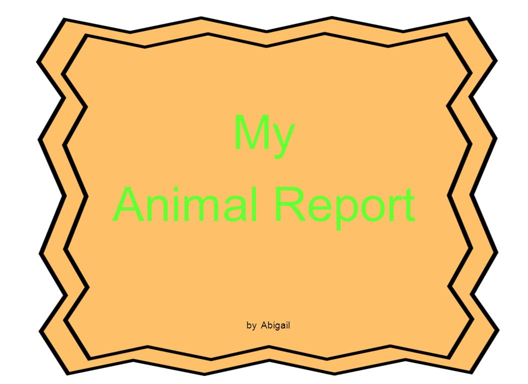 My Animal Report by Abigail