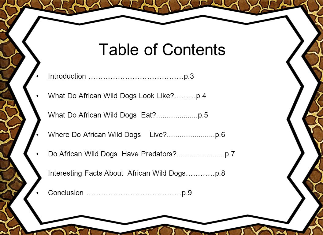 Table of Contents Introduction …………………………………p.3 What Do African Wild Dogs Look Like ………p.4 What Do African Wild Dogs Eat p.5 Where Do African Wild Dogs Live p.6 Do African Wild Dogs Have Predators p.7 Interesting Facts About African Wild Dogs…………p.8 Conclusion …………………………………p.9