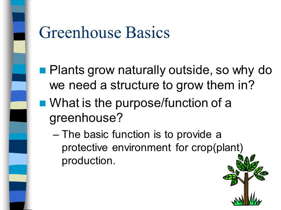 Greenhouse Basics Plants grow naturally outside, so why do we need a structure to grow them in.
