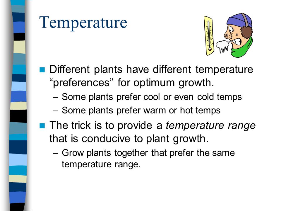 Temperature Different plants have different temperature preferences for optimum growth.