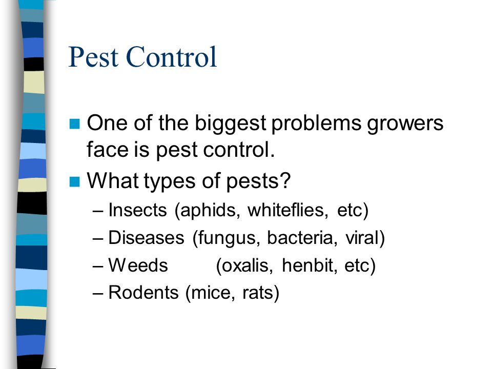 Pest Control One of the biggest problems growers face is pest control.