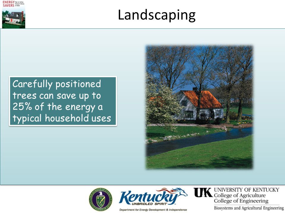 Landscaping Carefully positioned trees can save up to 25% of the energy a typical household uses