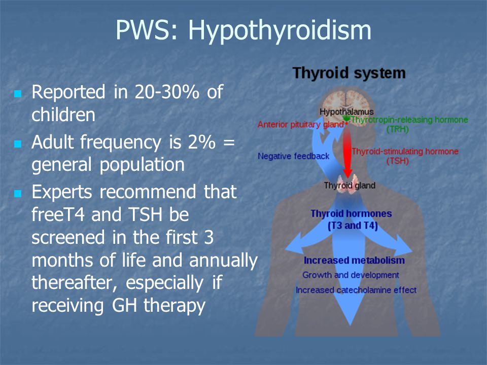 PWS: Hypothyroidism Reported in 20-30% of children Adult frequency is 2% = general population Experts recommend that freeT4 and TSH be screened in the first 3 months of life and annually thereafter, especially if receiving GH therapy