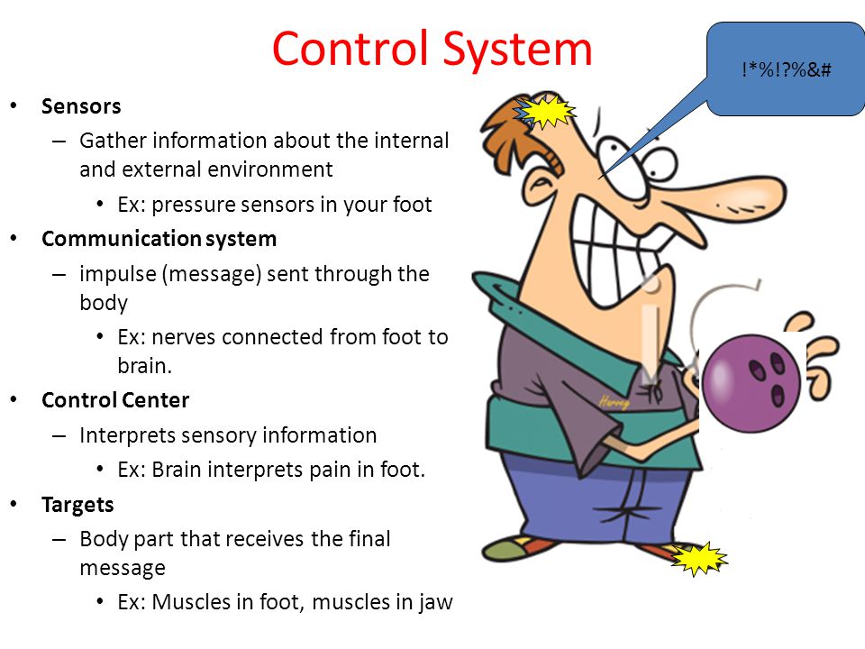 Homeostasis Homeostasis is like your home's thermostat Thermostat's set  point is 75ºF Inside temperature = heat 72ºF73ºF74ºF75ºF. - ppt download