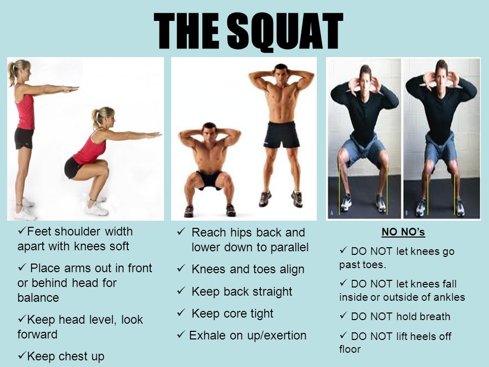 THE SQUAT Feet shoulder width apart with knees soft Place arms out in front or behind head for balance Keep head level, look forward Keep chest up NO NO’s DO NOT let knees go past toes.