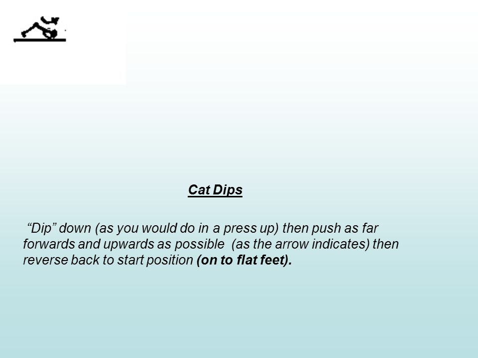 Cat Dips Dip down (as you would do in a press up) then push as far forwards and upwards as possible (as the arrow indicates) then reverse back to start position (on to flat feet).