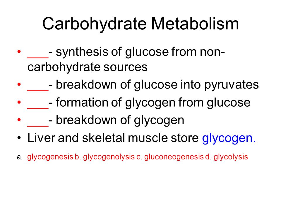 Carbohydrate Metabolism ___- synthesis of glucose from non- carbohydrate sources ___- breakdown of glucose into pyruvates ___- formation of glycogen from glucose ___- breakdown of glycogen Liver and skeletal muscle store glycogen.