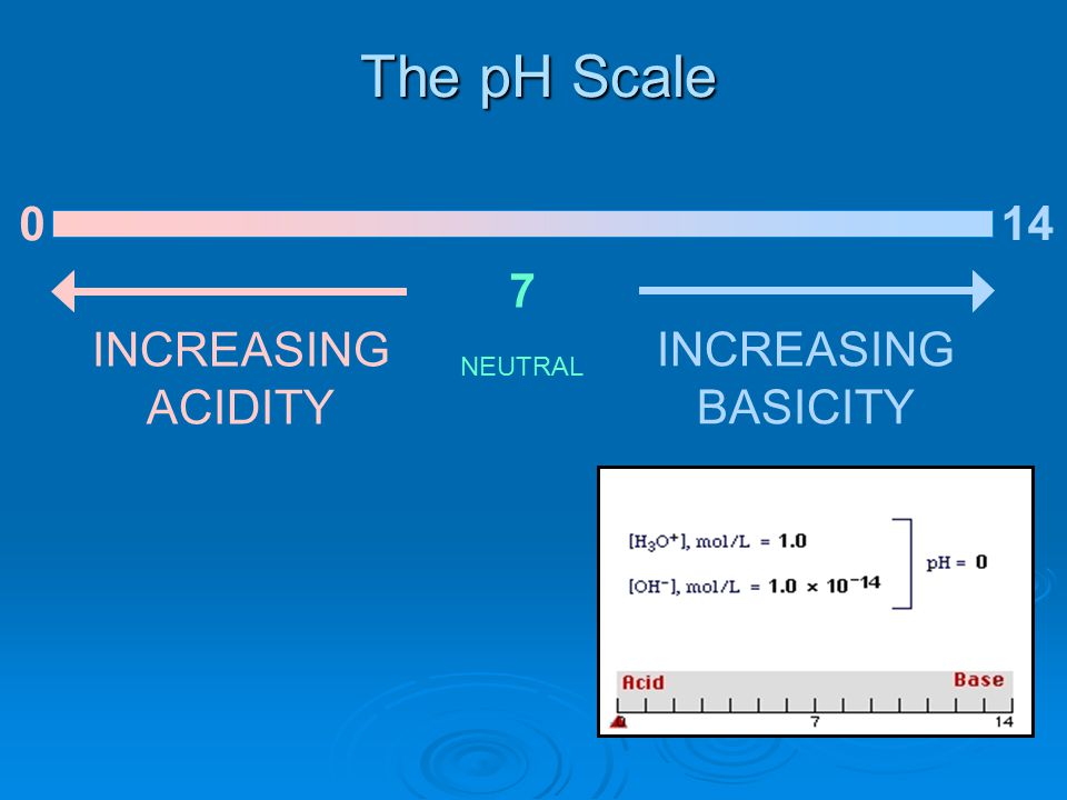 The pH Scale 0 7 INCREASING ACIDITY NEUTRAL INCREASING BASICITY 14