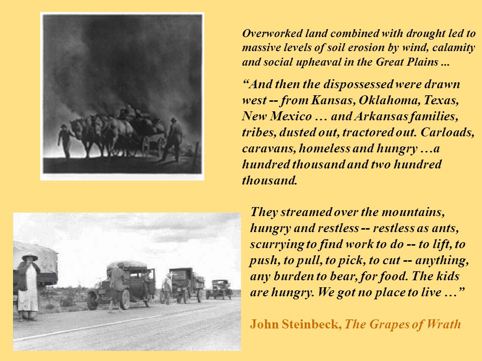 Dust Drought Degradation Desperation The Great Depression A Overworked Land Combined With Drought Led To Massive Levels Of Soil Erosion By Wind Calamity