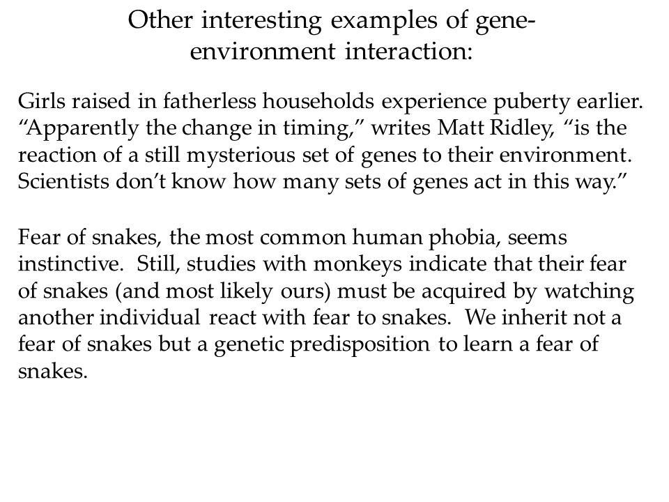 Other interesting examples of gene- environment interaction: Girls raised in fatherless households experience puberty earlier.