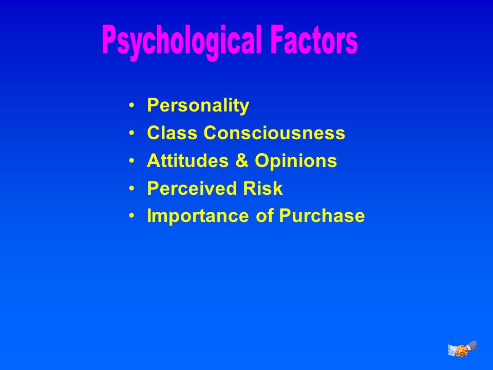 Personality Class Consciousness Attitudes & Opinions Perceived Risk Importance of Purchase