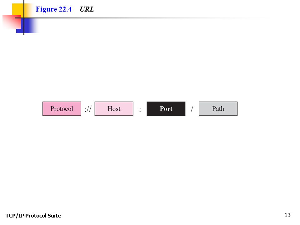TCP/IP Protocol Suite 13 Figure 22.4 URL