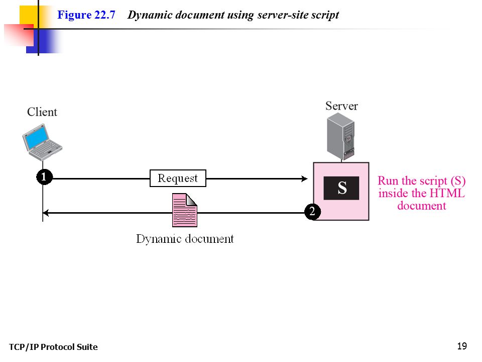 TCP/IP Protocol Suite 19 Figure 22.7 Dynamic document using server-site script