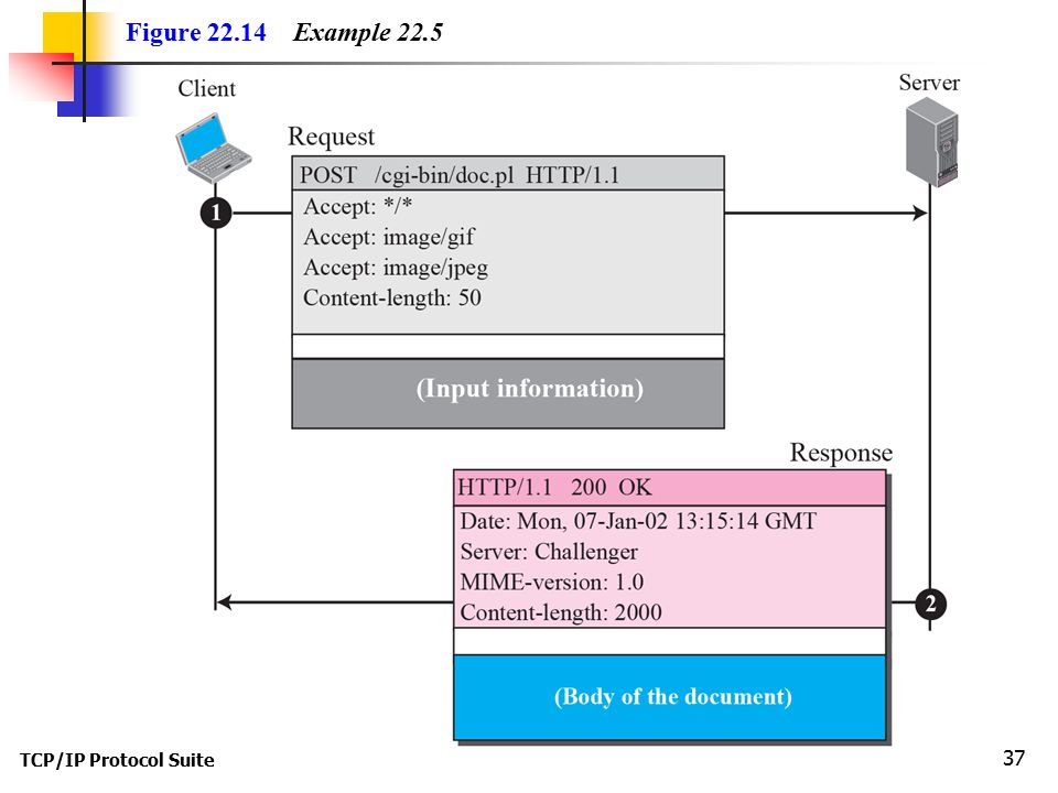 TCP/IP Protocol Suite 37 Figure Example 22.5