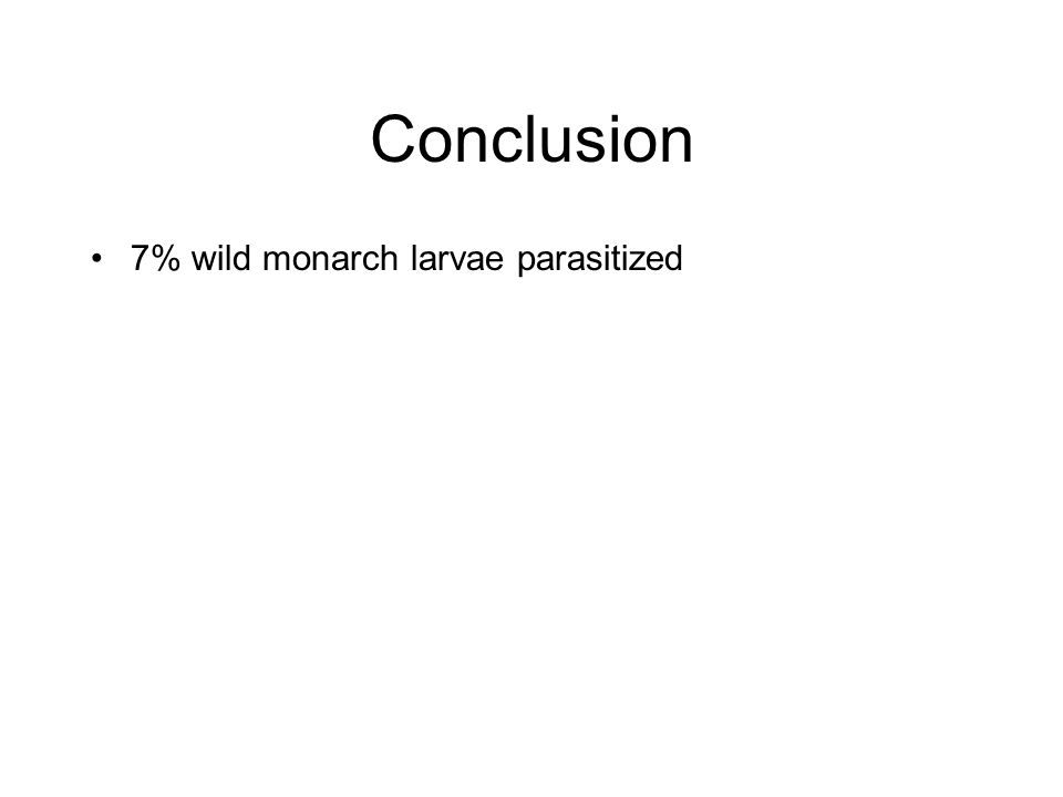 Conclusion 7% wild monarch larvae parasitized