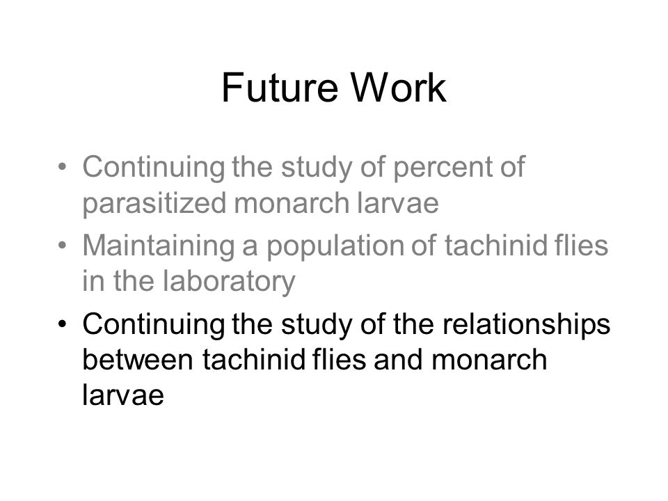 Future Work Continuing the study of percent of parasitized monarch larvae Maintaining a population of tachinid flies in the laboratory Continuing the study of the relationships between tachinid flies and monarch larvae