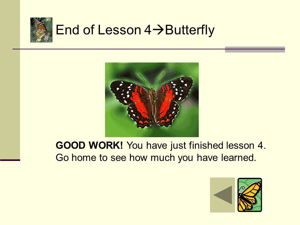 The butterfly does not grow anymore. Its life cycle is almost over.