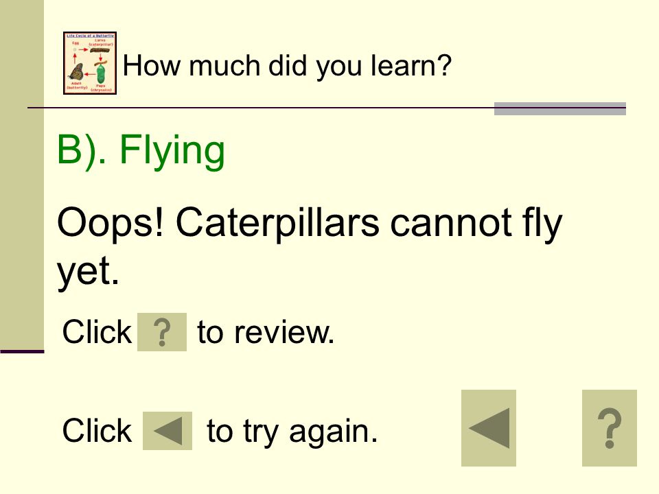 How much did you learn. A). Moving Oops. Caterpillars do not spend most of their time moving.