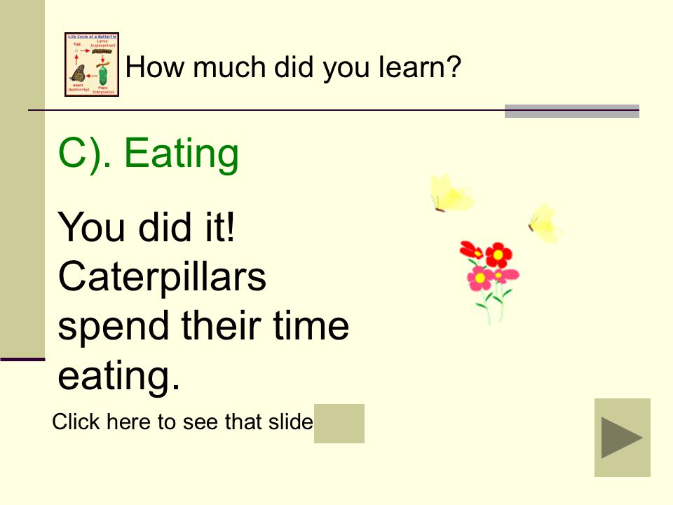 How much did you learn. B). Flying Oops. Caterpillars cannot fly yet.