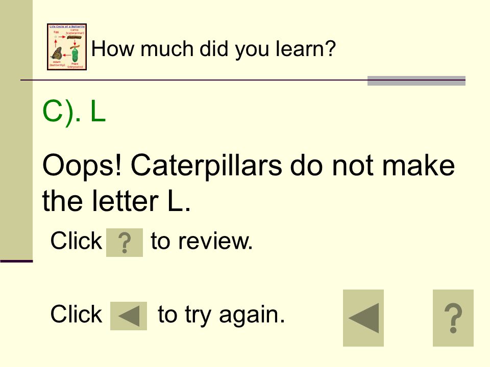 How much did you learn. B). G Oops. Caterpillars do not make the letter G.