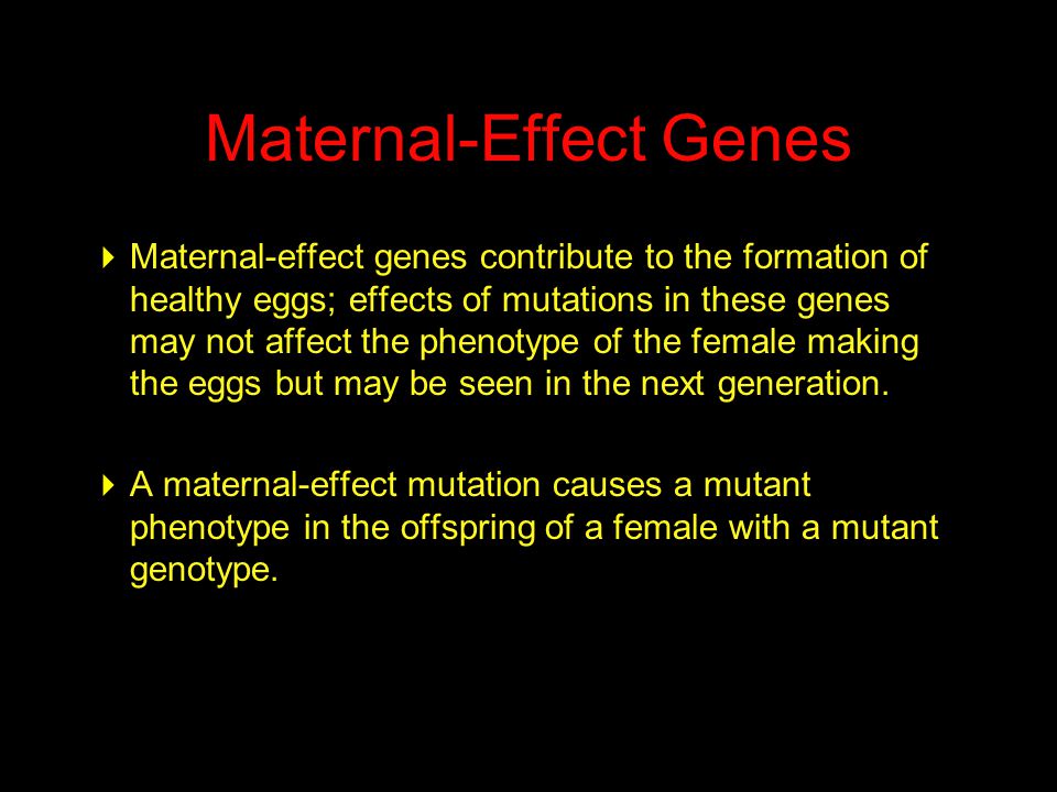 Maternal-Effect Genes  Maternal-effect genes contribute to the formation of healthy eggs; effects of mutations in these genes may not affect the phenotype of the female making the eggs but may be seen in the next generation.