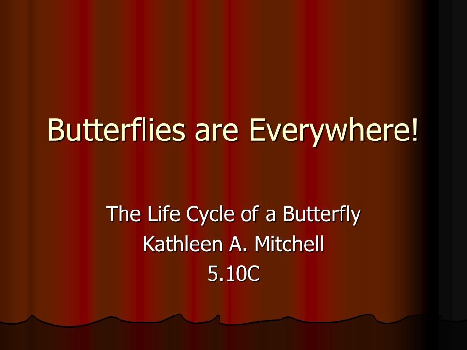 Butterflies are Everywhere! The Life Cycle of a Butterfly Kathleen A. Mitchell 5.10C
