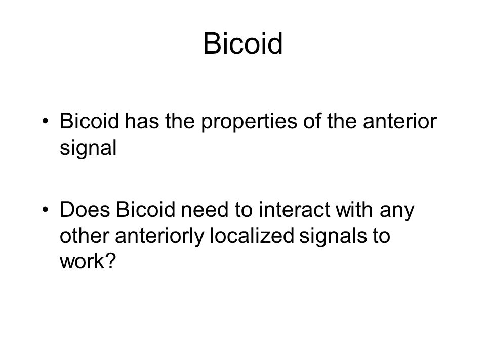 Bicoid Bicoid has the properties of the anterior signal Does Bicoid need to interact with any other anteriorly localized signals to work