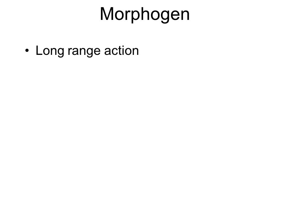 Morphogen Long range action