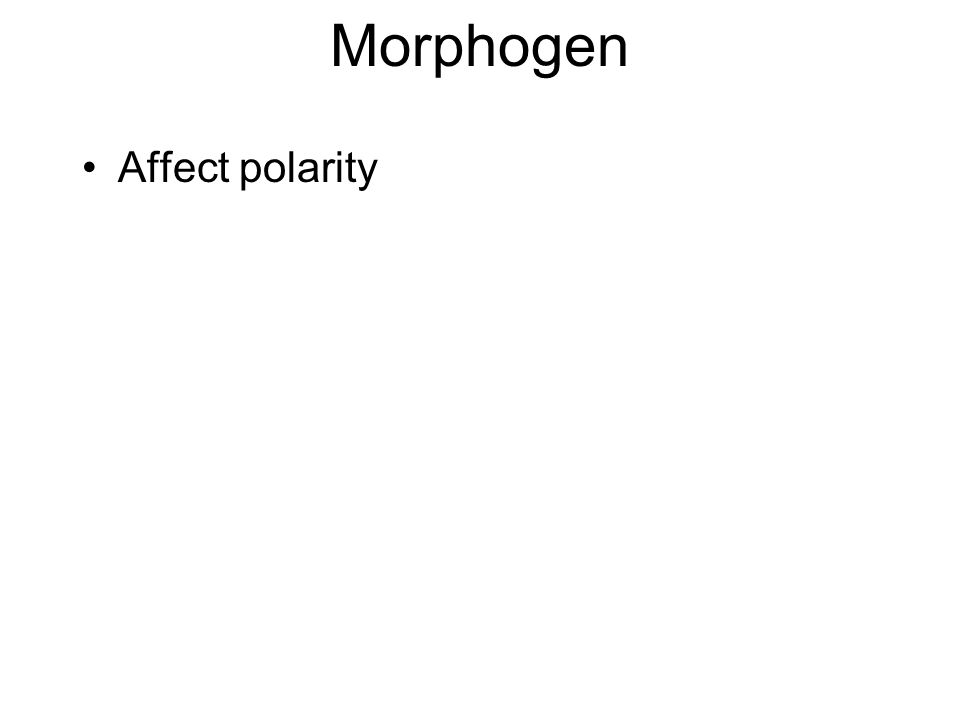 Morphogen Affect polarity