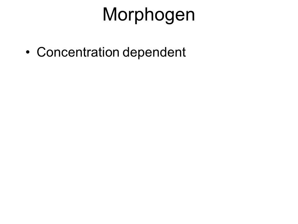 Morphogen Concentration dependent