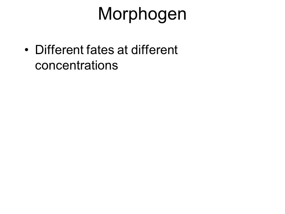 Morphogen Different fates at different concentrations