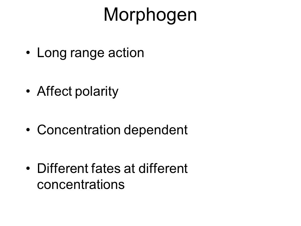 Morphogen Long range action Affect polarity Concentration dependent Different fates at different concentrations