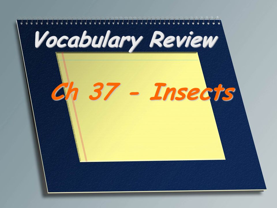 Vocabulary Review Ch 37 - Insects