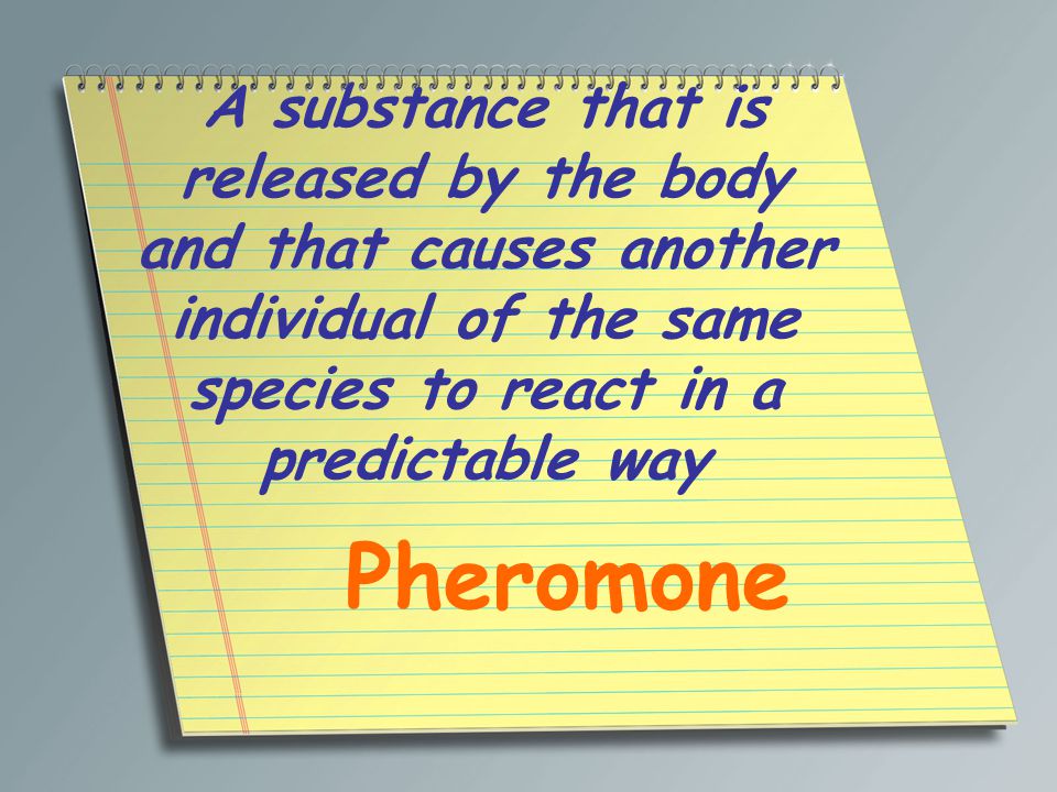 A substance that is released by the body and that causes another individual of the same species to react in a predictable way Pheromone