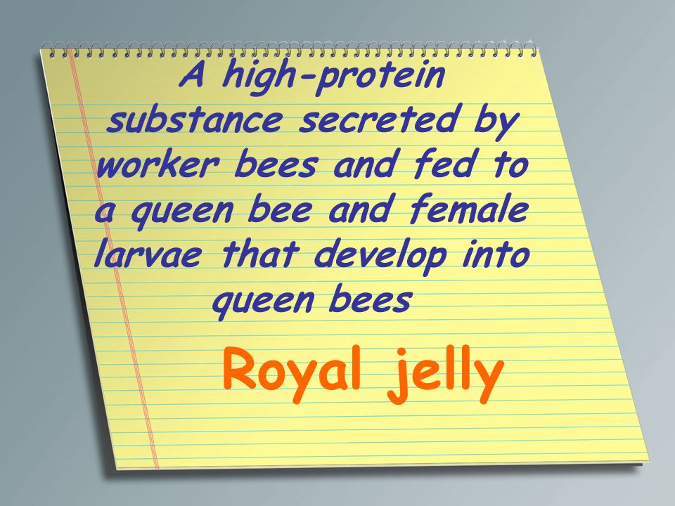 A high-protein substance secreted by worker bees and fed to a queen bee and female larvae that develop into queen bees Royal jelly