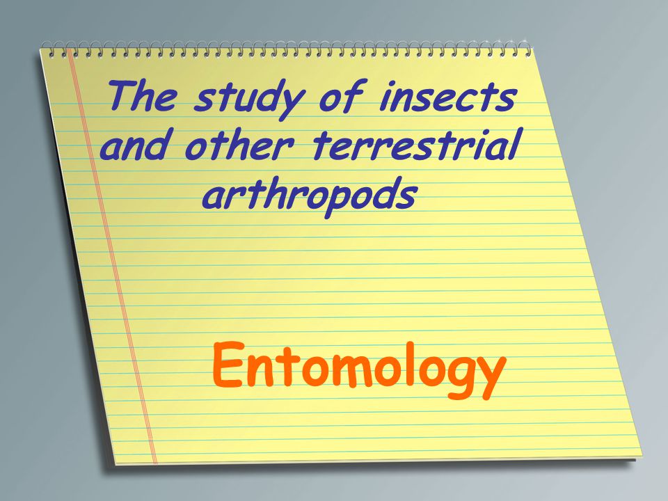 The study of insects and other terrestrial arthropods Entomology