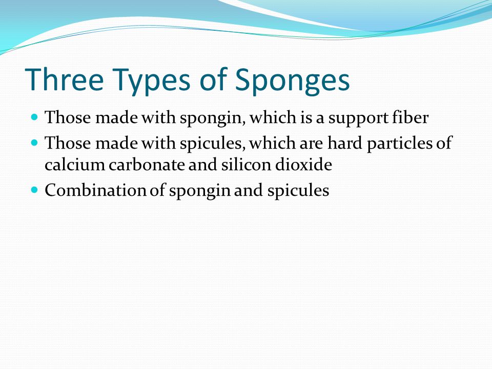 Three Types of Sponges Those made with spongin, which is a support fiber Those made with spicules, which are hard particles of calcium carbonate and silicon dioxide Combination of spongin and spicules