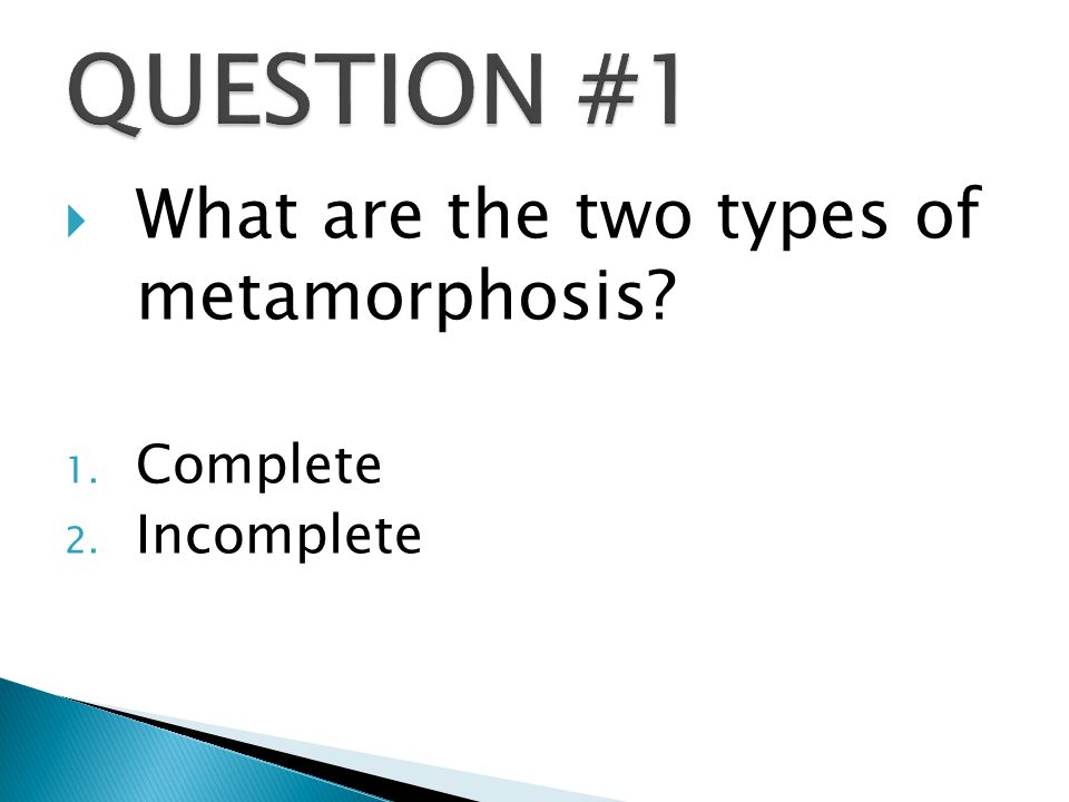  What are the two types of metamorphosis 1. Complete 2. Incomplete