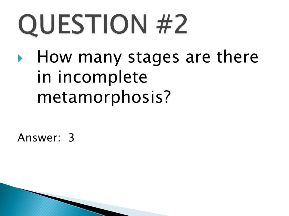  How many stages are there in incomplete metamorphosis Answer: 3
