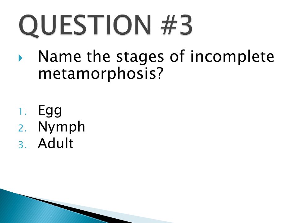  Name the stages of incomplete metamorphosis 1. Egg 2. Nymph 3. Adult
